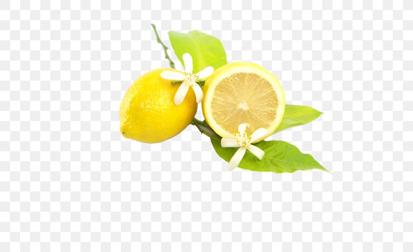 Juicer Lemon Squeezer Fruit, PNG, 500x500px, Juice, Citric Acid, Citroenolie, Citron, Citrus Download Free