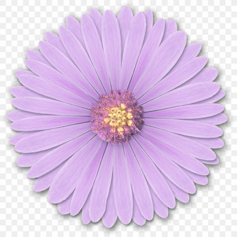 Light Flower Desktop Wallpaper Purple Png 1500x1500px Watercolor Cartoon Flower Frame Heart Download Free
