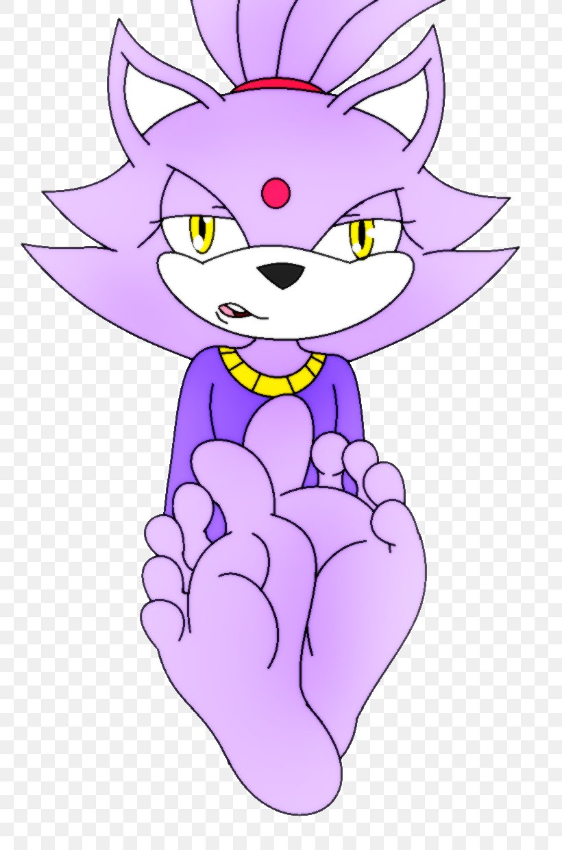 Whiskers Amy Rose Foot Blaze The Cat Sole, PNG, 812x1240px, Watercolor, Cartoon, Flower, Frame, Heart Download Free