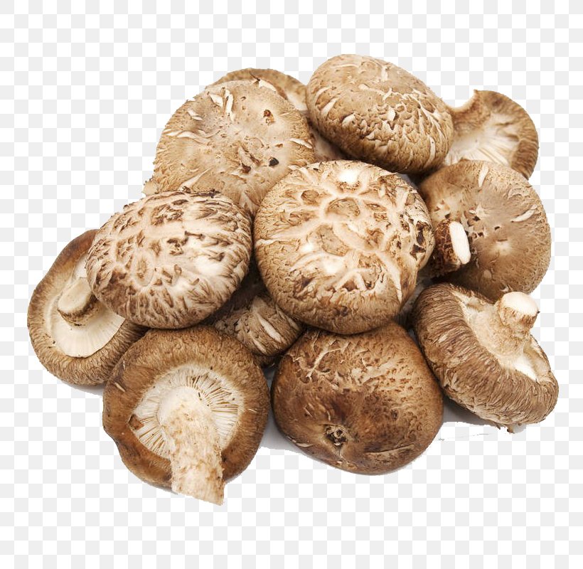 Yes Produce Resistant Starch Prebiotic Potato Starch, PNG, 800x800px, Resistant Starch, Agaricaceae, Dietary Fiber, Drinking, Edible Mushroom Download Free