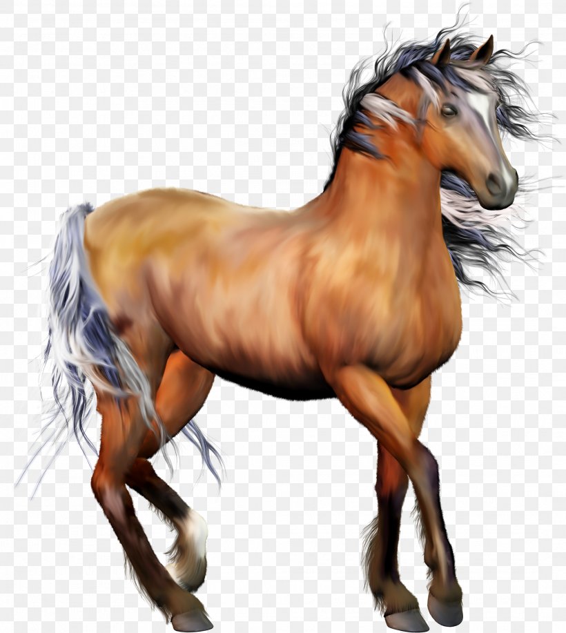 Appaloosa Wild Horse Clip Art, PNG, 2129x2382px, Appaloosa, Animal Figure, Blingee, Bridle, Colt Download Free