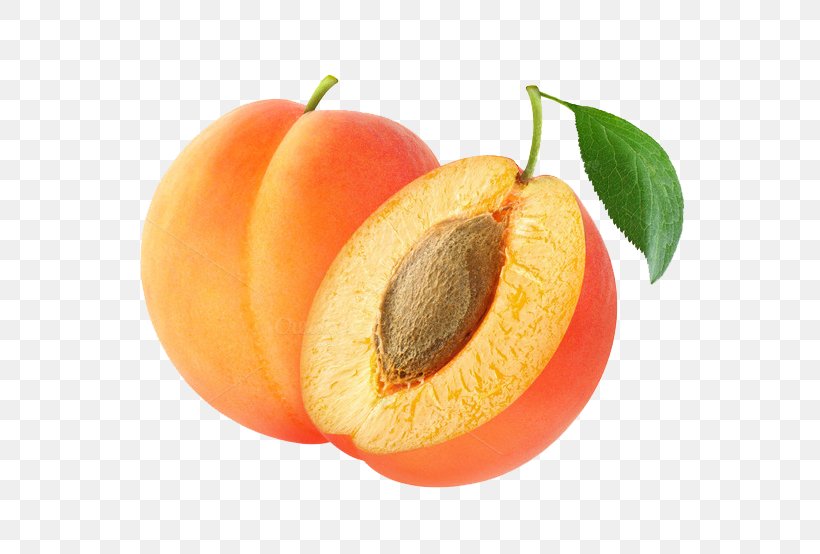 Apricot Kernel Amygdalin Fruit Almond, PNG, 680x554px, Apricot, Almond, Amygdalin, Apple, Apple Seed Oil Download Free