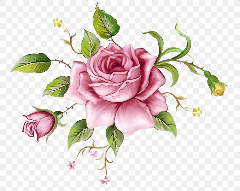Garden Roses, PNG, 800x653px, Flower, Cut Flowers, Flowering Plant, Garden Roses, Petal Download Free
