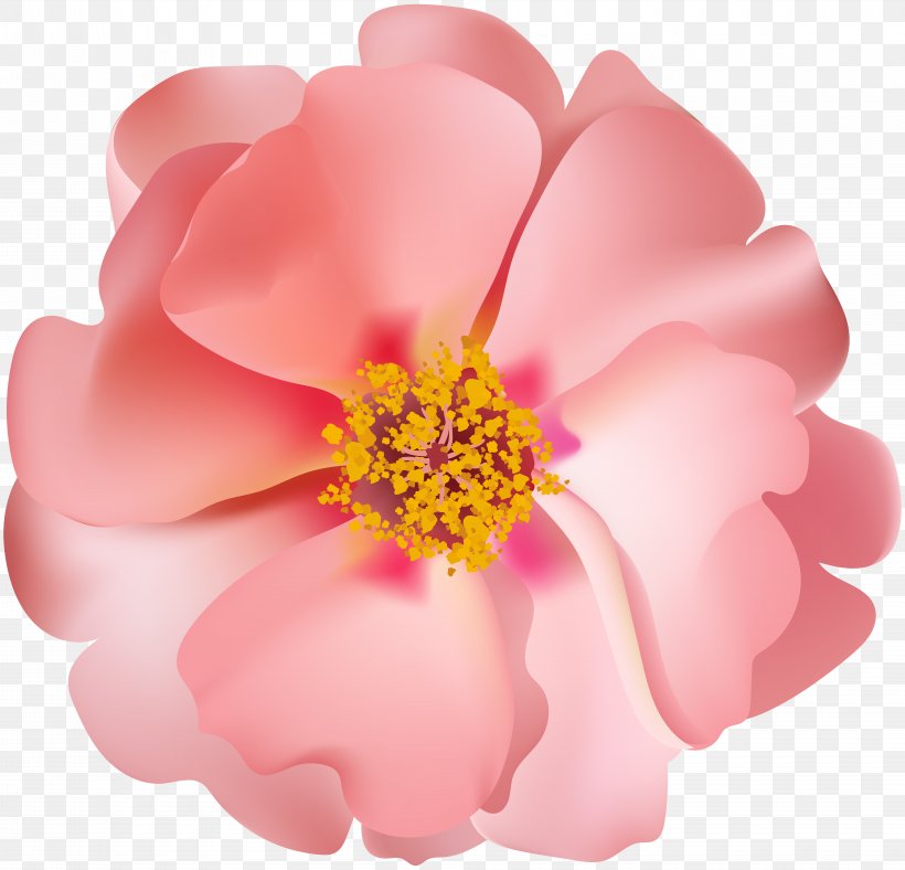 Rose Desktop Wallpaper Clip Art, PNG, 8000x7688px, Rose, Diagram, Easter Basket, Flower, Flowering Plant Download Free
