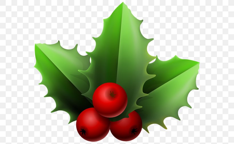 Mistletoe Phoradendron Tomentosum Christmas Clip Art, PNG, 600x505px, Mistletoe, Aquifoliaceae, Aquifoliales, Christmas, Christmas Ornament Download Free
