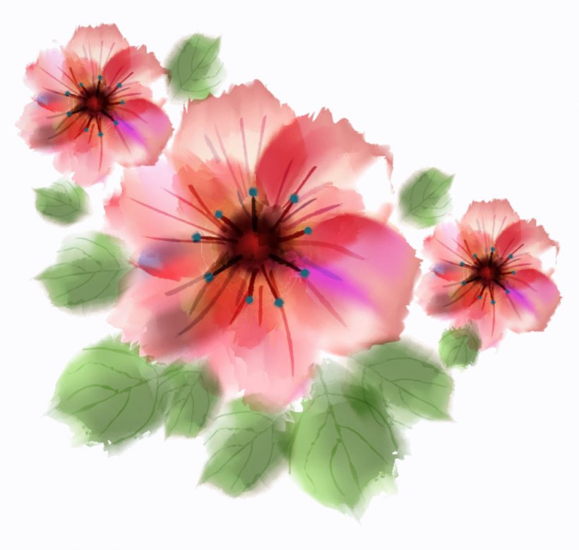 Watercolour Flowers Watercolor Painting Floral Design, PNG, 1010x960px, Watercolour Flowers, Annual Plant, Art, Drawing, Floral Design Download Free