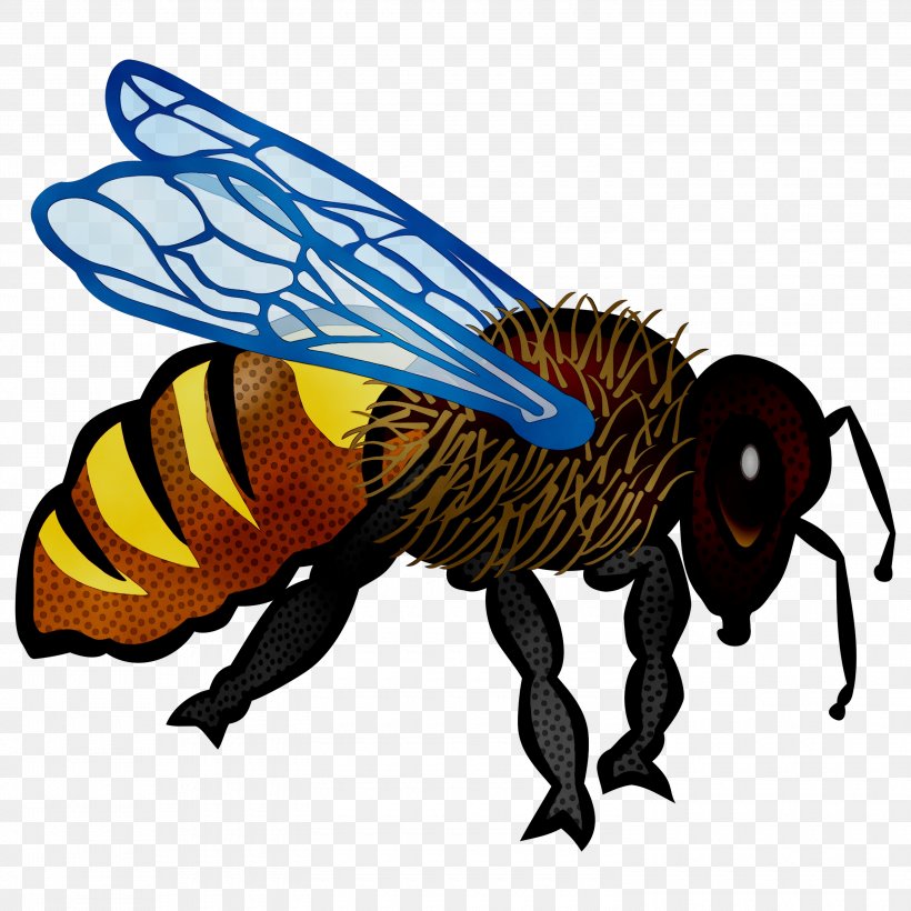 Honey Bee Clip Art Harvest, PNG, 3000x3000px, Honey Bee, Arthropod, Bed, Bee, Blowflies Download Free