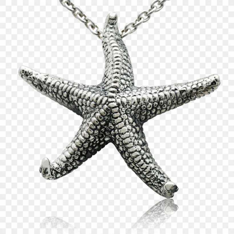 Jewellery Invertebrate Starfish Charms & Pendants Silver, PNG, 1000x1000px, Jewellery, Body Jewellery, Body Jewelry, Charms Pendants, Diamond Download Free