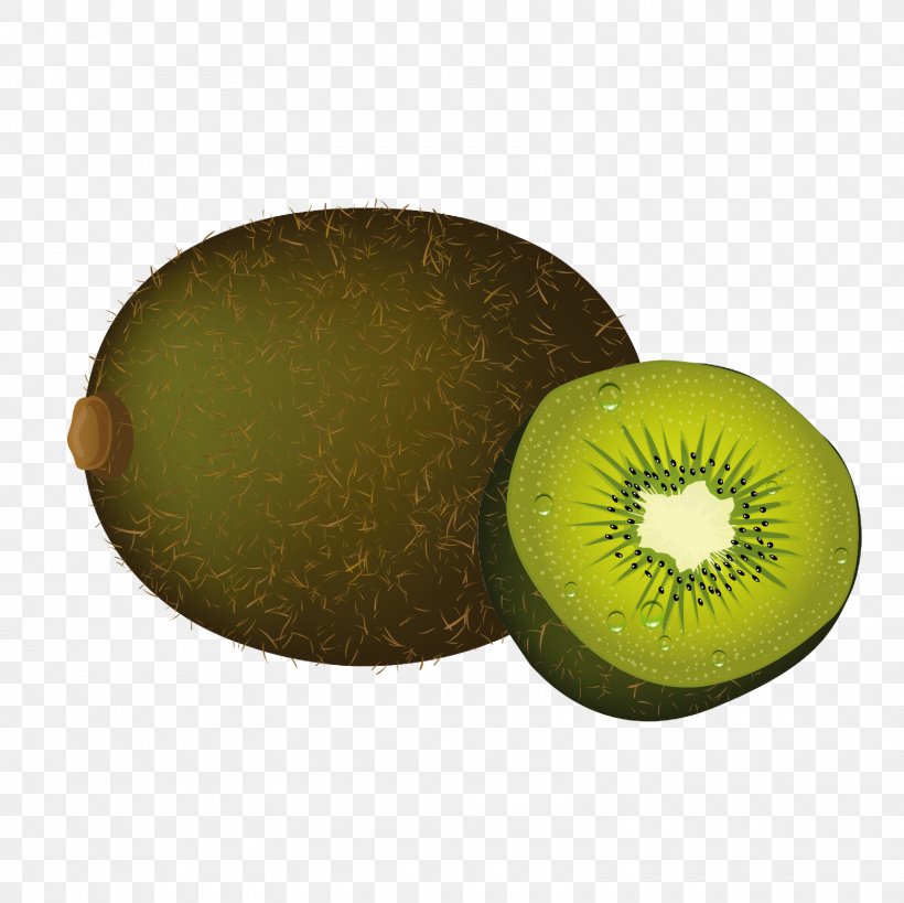 Kiwifruit Euclidean Vector, PNG, 1600x1600px, Kiwifruit, Fruit, Green, Kiwi, Tropical Fruit Download Free