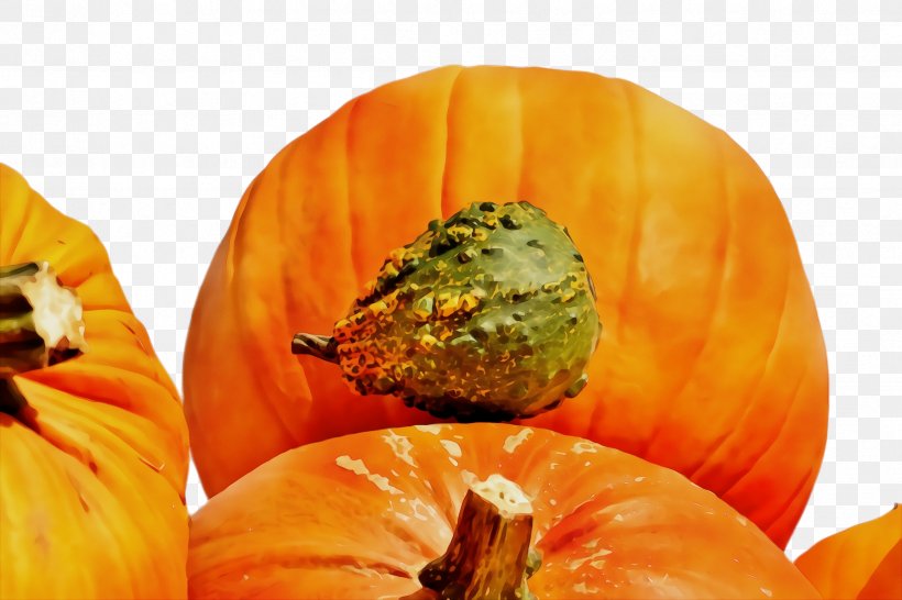 Pumpkin, PNG, 2448x1632px, Watercolor, Calabaza, Cucurbita, Fruit, Local Food Download Free