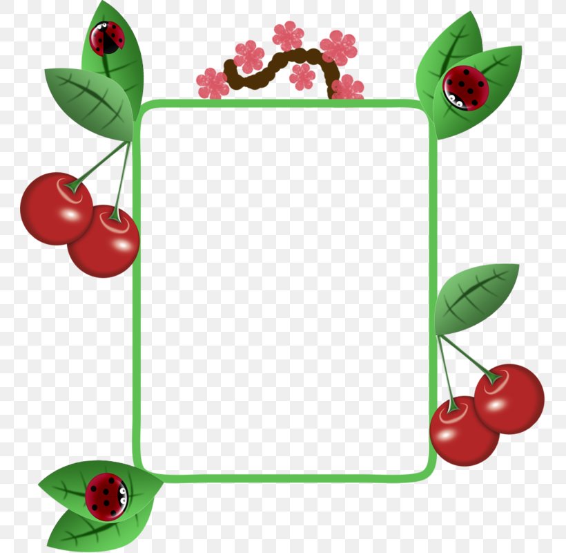 Cherry Picture Frame Fruit Clip Art, PNG, 761x800px, Cherry, Animation,  Auglis, Cartoon, Drawing Download Free