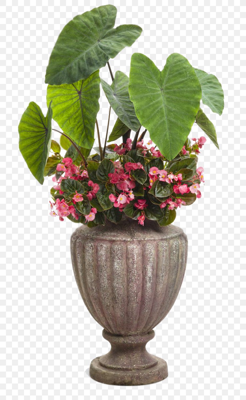 Flowerpot Houseplant Container Garden, PNG, 736x1335px, Flowerpot, Annual Plant, Artificial Flower, Begonia, Container Garden Download Free