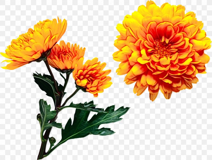 Garden Flowers, PNG, 1250x945px, Pot Marigold, Annual Plant, Artificial Flower, Calendula, Chrysanthemum Download Free