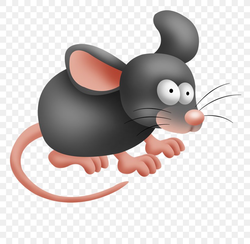 Mouse Rat Rodent Drawing Clip Art, PNG, 800x800px, Mouse, Animation, Cartoon,  Drawing, Editing Download Free