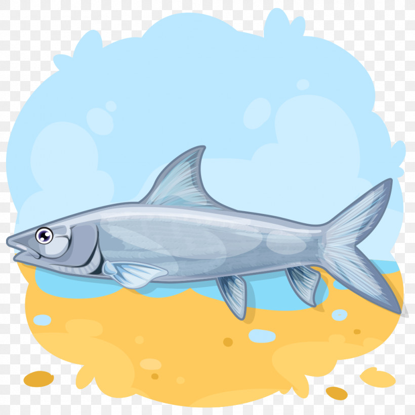 Shark, PNG, 1024x1024px, Fish, Bonyfish, Bull Shark, Carcharhiniformes, Cartilaginous Fish Download Free