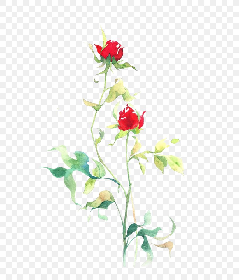 Beach Rose Flower Petal Floral Design Illustration, PNG, 700x960px, Beach Rose, Artificial Flower, Cut Flowers, Flora, Floral Design Download Free