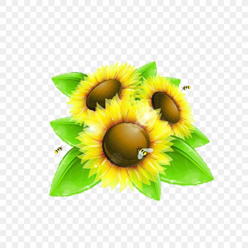 Common Sunflower Bee Clip Art, PNG, 2953x2953px, Common Sunflower, Bee, Flower, Flowering Plant, Fruit Download Free