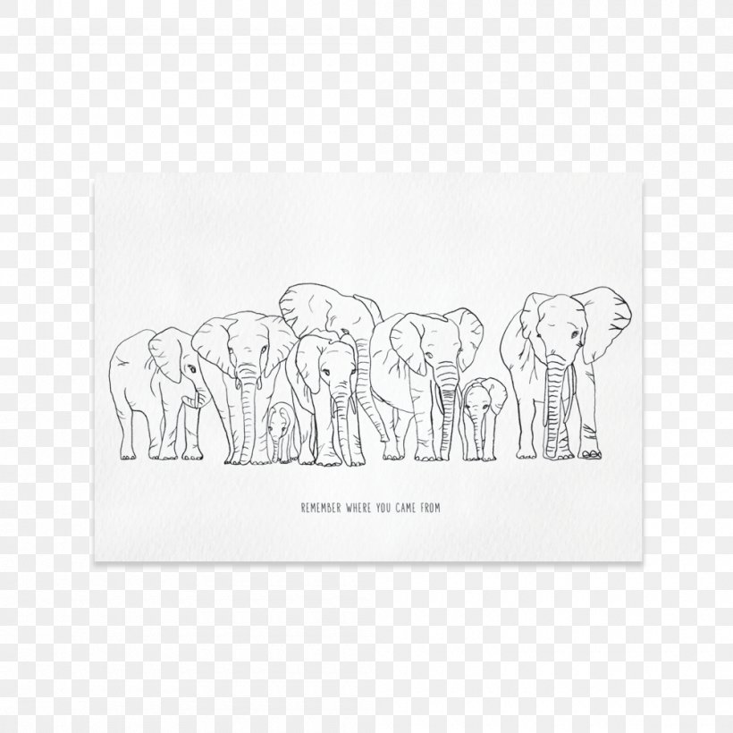Paper House Animal Font, PNG, 1000x1000px, Paper, Animal, Area, Black And White, Drawing Download Free