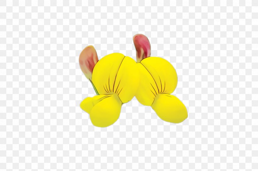 Yellow Petal Plant Flower, PNG, 2448x1632px, Watercolor, Flower, Paint, Petal, Plant Download Free