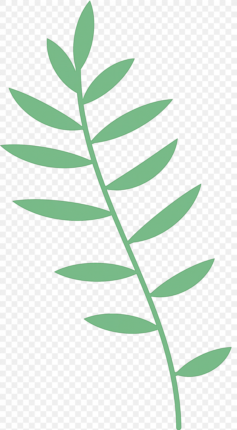 Plant Stem Leaf Tree Herbaceous Plant Petal, PNG, 1655x2999px, Leaf Cartoon, Biology, Branch, Cranesbill, Herbaceous Plant Download Free