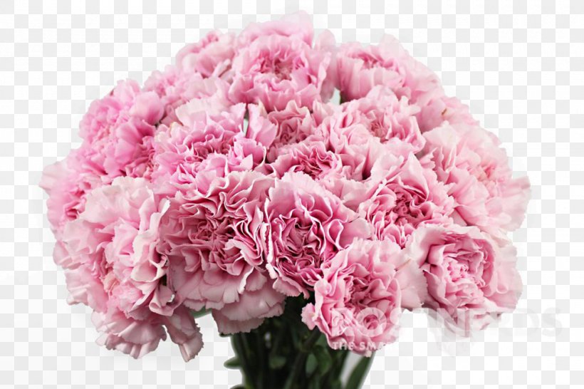 Carnation Pink Flowers Flower Bouquet, PNG, 1000x667px, Carnation, Anemone, Artificial Flower, Cut Flowers, Dianthus Download Free