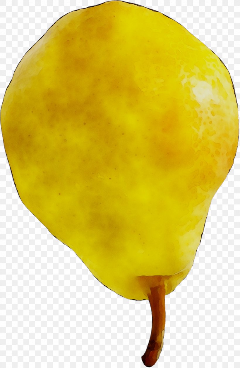 Lemon Yellow, PNG, 1035x1591px, Lemon, Ice Pop, Plant, Yellow Download Free