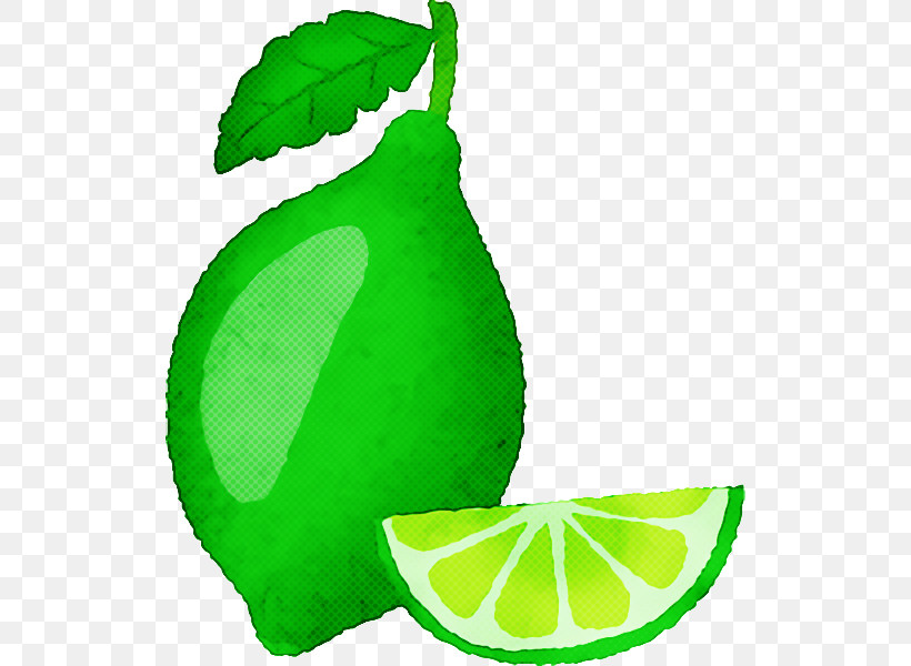 Lime Persian Lime Lemon-lime Drink Citric Acid Leaf, PNG, 522x600px, Lime, Acid, Biology, Citric Acid, Citrus Fruit Download Free