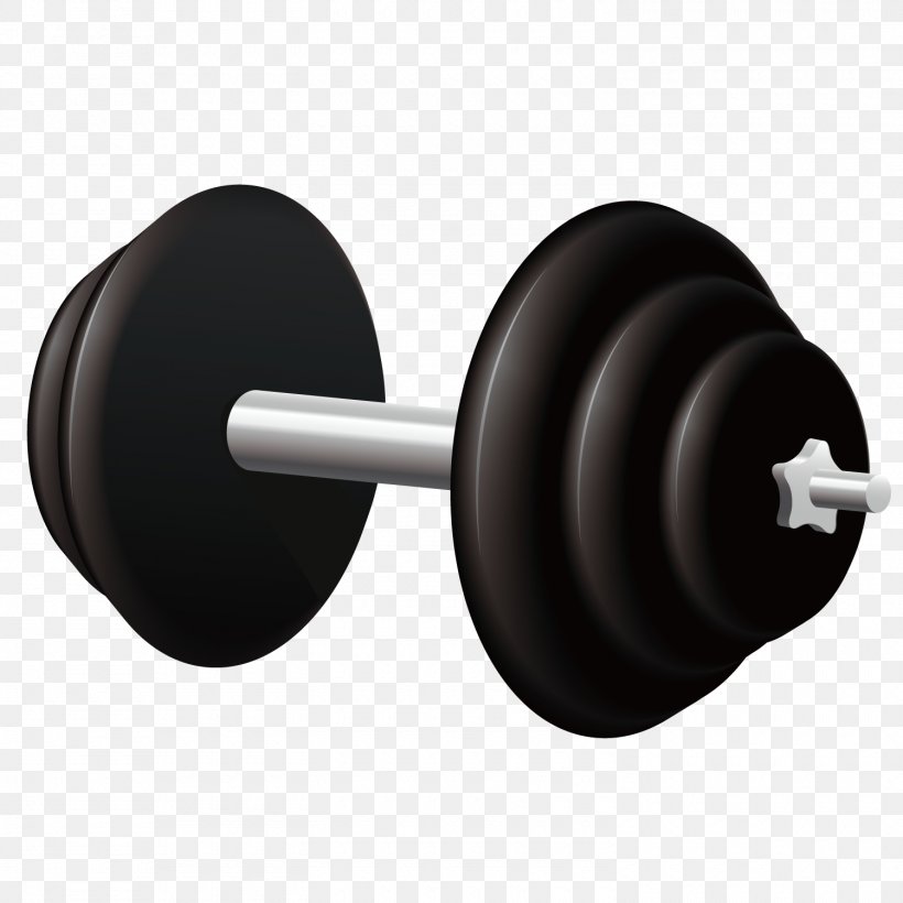 Sports Equipment, PNG, 1500x1500px, Dumbbell, Albom, Bodybuilding, Exercise Equipment, Fitness Centre Download Free