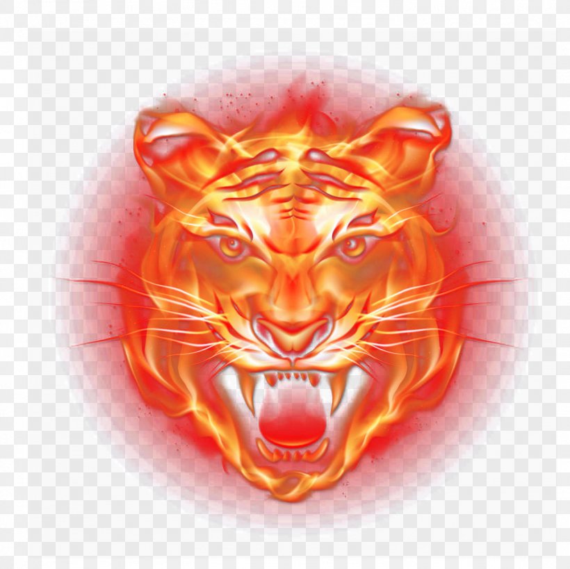 Tiger Light Flame Fire, PNG, 1501x1500px, Tiger, Android, Big Cats, Carnivoran, Cat Download Free