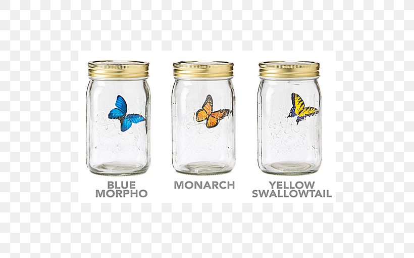 Butterfly Jar Gadget Morpho Insect, PNG, 510x510px, Butterfly, Bottle, Drinkware, Food Storage, Food Storage Containers Download Free