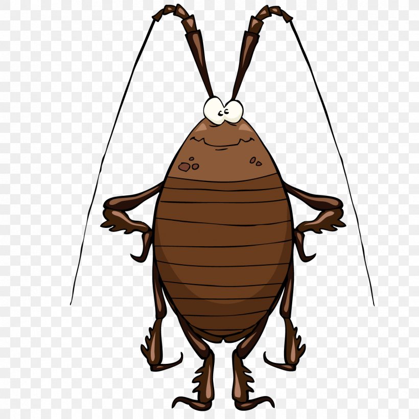 Cockroach Cartoon Clip Art, PNG, 1276x1276px, Cockroach, Cartoon, Drawing, German Cockroach, Insect Download Free