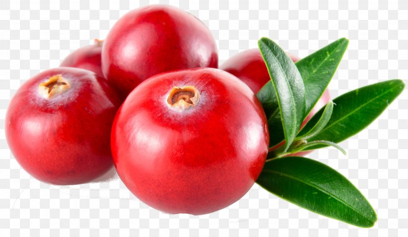 Cranberry Royalty-free Stock Photography, PNG, 2156x1256px, Cranberry, Accessory Fruit, Acerola, Acerola Family, Apple Download Free