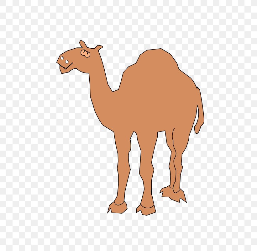 Dromedary Clip Art, PNG, 800x800px, Dromedary, Arabian Camel, Art, Camel, Camel Like Mammal Download Free