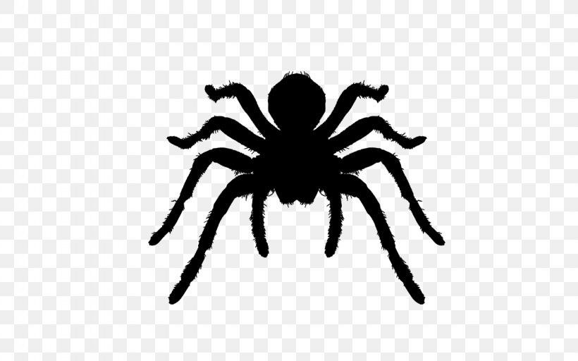 Spider Tarantula Insect, PNG, 1280x800px, Spider, Arachnid, Arthropod, Black And White, Brazilian Red And White Tarantula Download Free
