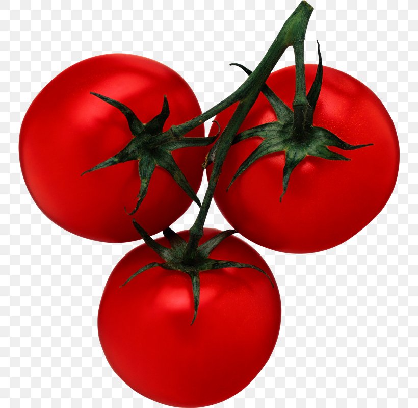 Vegetable Cherry Tomato Cucumber Clip Art, PNG, 748x800px, Vegetable, Apple, Bush Tomato, Cherry Tomato, Christmas Ornament Download Free