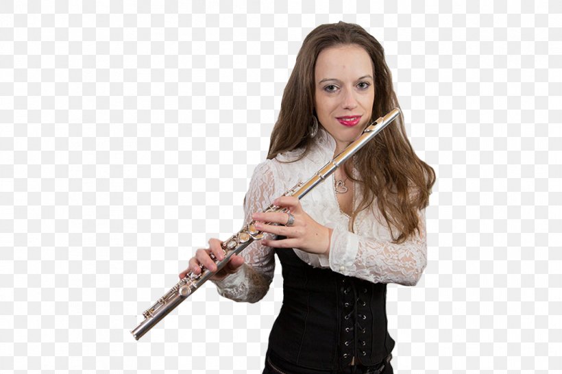 Western Concert Flute Sachsendorfer Oberschule Microphone Band, PNG, 1042x694px, Western Concert Flute, Abitur, Band, Cottbus, Flautist Download Free
