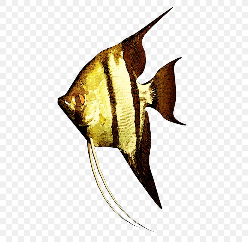 Goldfish Clip Art, PNG, 495x800px, Goldfish, Fin, Fish, Gold, Marine Biology Download Free