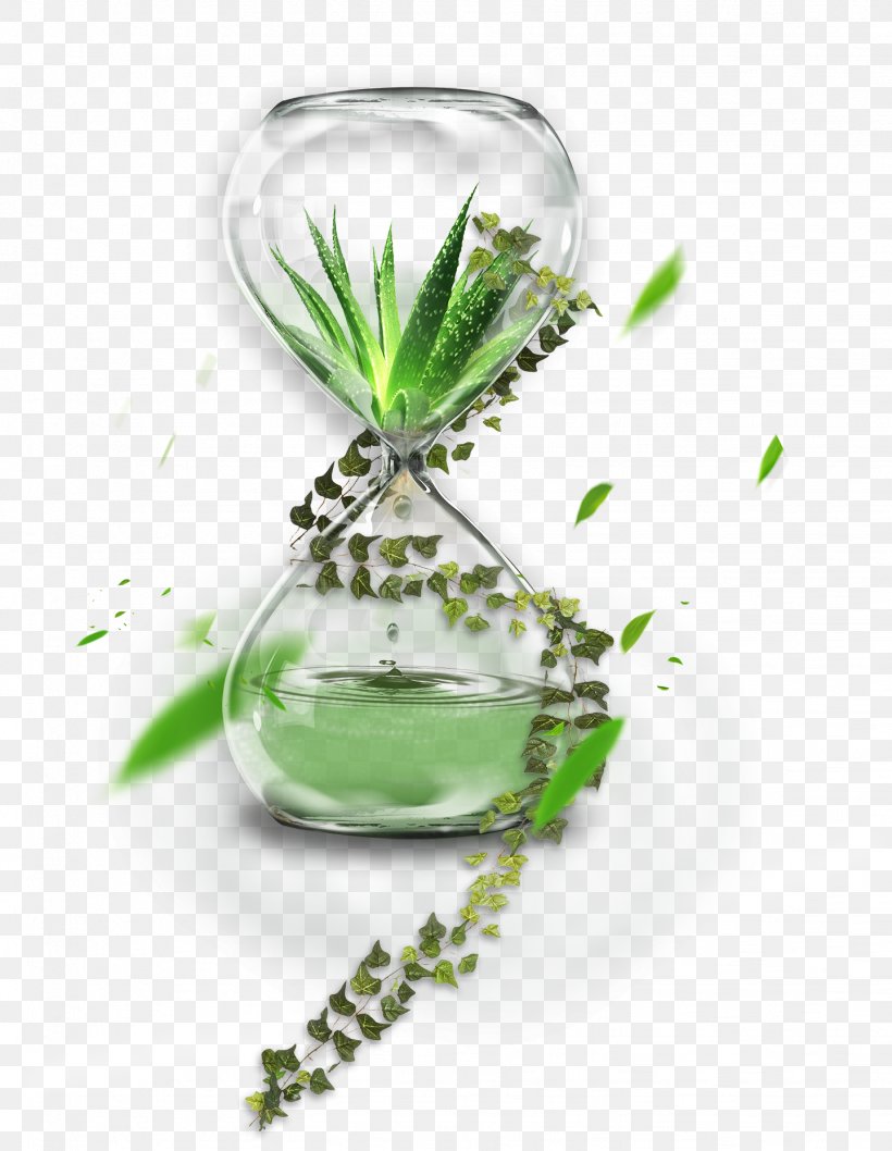 Hourglass Transparency And Translucency, PNG, 1439x1858px, Hourglass, Aloe, Flowerpot, Glass, Green Download Free