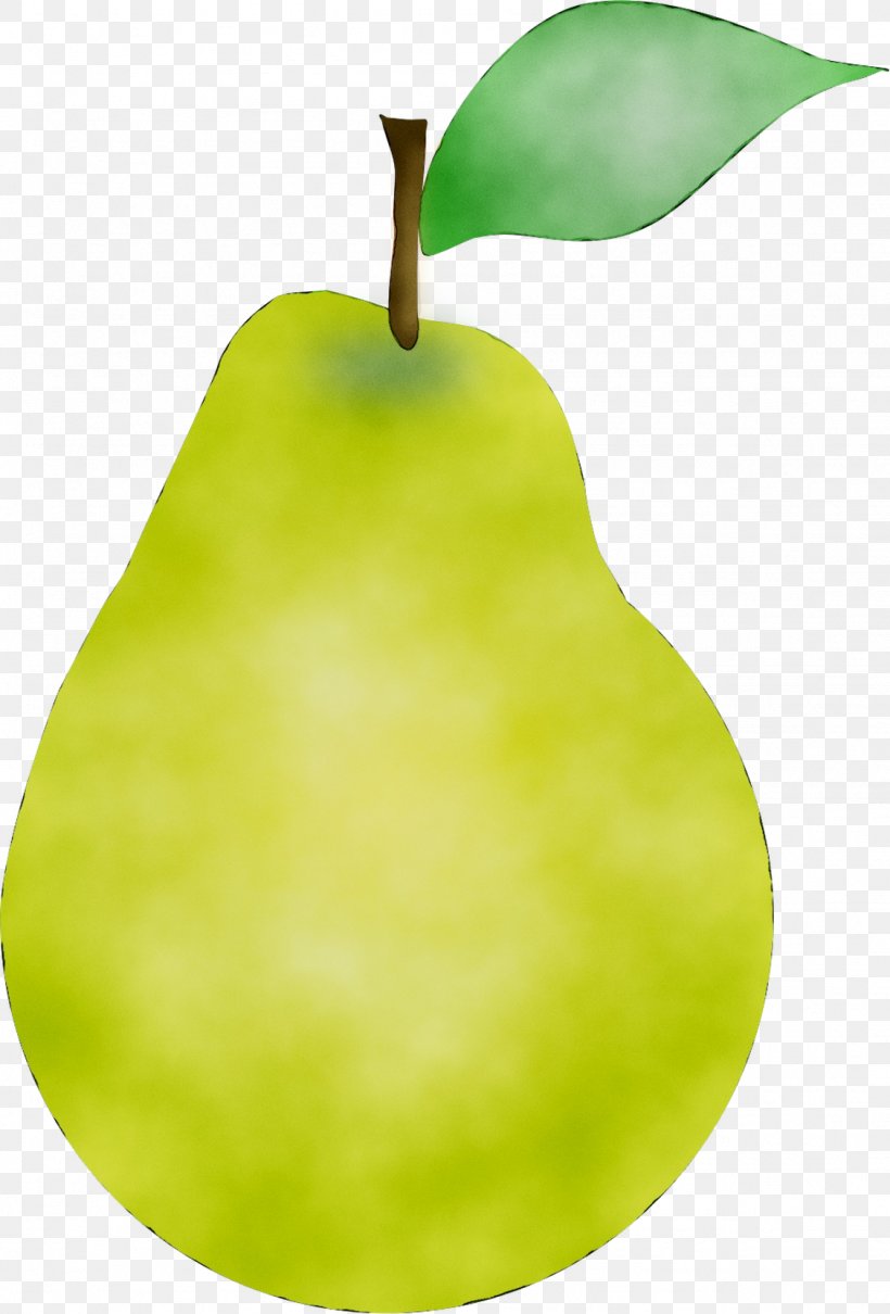 Pear Product Design Apple, PNG, 1127x1664px, Pear, Accessory Fruit, Apple, Fahrenheit, Food Download Free