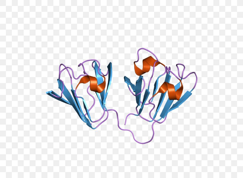 Affilin Crystallin Protein Ubiquitin Antigen, PNG, 800x600px, Watercolor, Cartoon, Flower, Frame, Heart Download Free