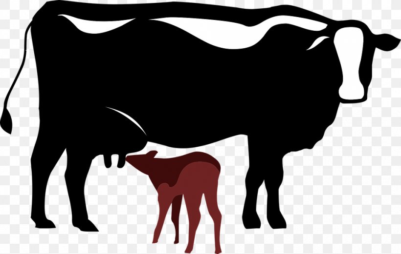 Dairy Cattle Calf Vector Graphics Clip Art, PNG, 960x611px, Cattle, Black And White, Bull, Calf, Cattle Like Mammal Download Free