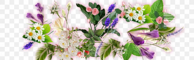 Flower Leaf Floral Design, PNG, 1920x600px, Flower, Beach Rose, Crocus, Cut Flowers, Flora Download Free