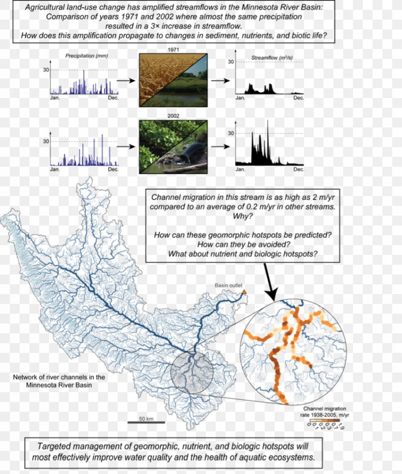 Tree Water Resources Diagram Line, PNG, 868x1024px, Tree, Area, Diagram, Map, Organism Download Free