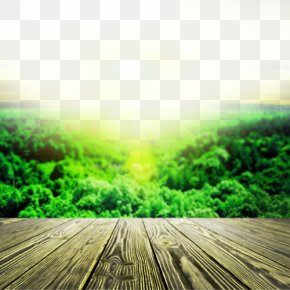 Background Nature Images, Background Nature Transparent PNG, Free download