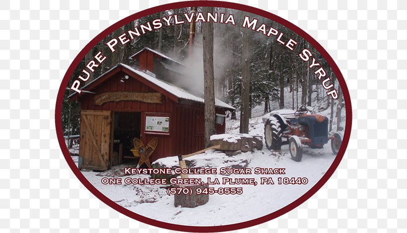La Plume, Pennsylvania Mustard Sugar Shack Maple Syrup Maine, PNG, 600x469px, Mustard, Bottle, College, Home, Illinois Download Free