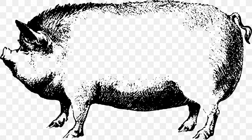 Wild Boar Clip Art, PNG, 2400x1332px, Wild Boar, Animal Figure, Black And White, Cattle Like Mammal, Drawing Download Free