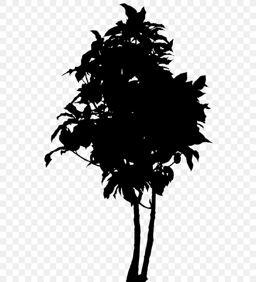 Clip Art Oak Vector Graphics Silhouette Tree, PNG, 541x900px, Oak, Acorn, Blackandwhite, Leaf, Plane Download Free