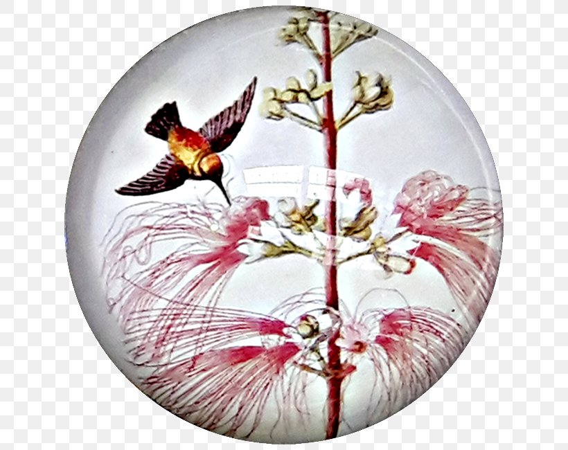 Paperweight Glass .com .au Ornament, PNG, 650x650px, Paperweight, Bird, Com, Dishware, Fauna Download Free