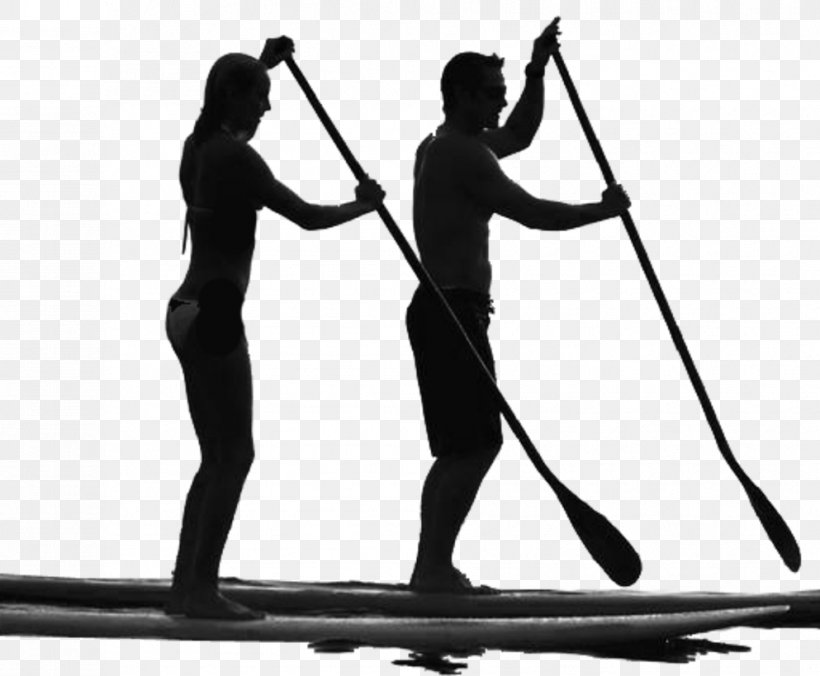 Standup Paddleboarding Surfing Manatee Paddle Sales & Rentals, PNG, 993x819px, Standup Paddleboarding, Black And White, Fin, Joint, Kitesurfing Download Free