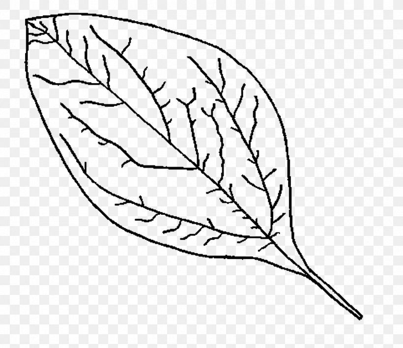 Coloring Book The Enchanted Forest Autumn Leaf, PNG, 1367x1181px, Coloring Book, Area, Artwork, Autumn, Autumn Leaf Color Download Free